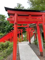 住吉神社の写真・動画_image_533999