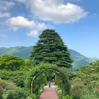 箱根強羅公園の写真・動画_image_534155