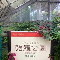 箱根強羅公園の写真・動画_image_534158