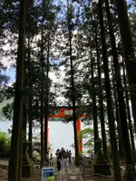 箱根神社 平和の鳥居の写真・動画_image_534172