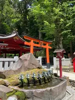 箱根神社の写真・動画_image_534175