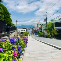 八幡坂の写真・動画_image_534188