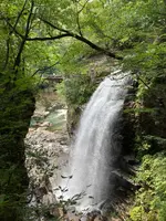 虹見の滝の写真・動画_image_534445