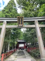 日光二荒山神社の写真・動画_image_534459