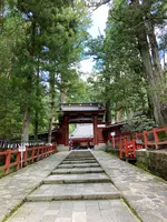 日光二荒山神社の写真・動画_image_534461