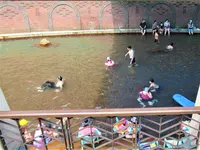 蘇澳冷泉公園の写真・動画_image_535105
