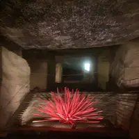 大谷資料館の写真・動画_image_536242