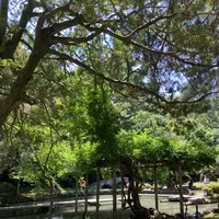 尾山神社の写真・動画_image_538038