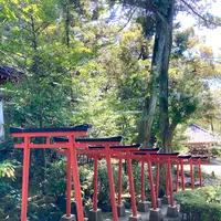 金澤神社の写真・動画_image_538062
