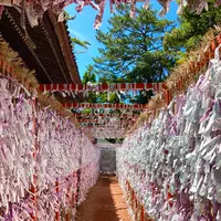 石浦神社の写真・動画_image_538067