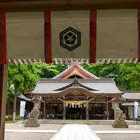 白山比咩神社の写真・動画_image_538176