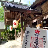 宇多須神社の写真・動画_image_538213