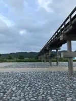 蓬莱橋の写真・動画_image_539749