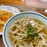 讃岐うどん 上原屋本店の写真・動画_image_542714