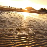 父母ヶ浜海岸の写真・動画_image_542721