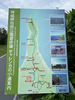 神威岬の写真・動画_image_543046