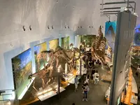 福井県立恐竜博物館の写真・動画_image_543233