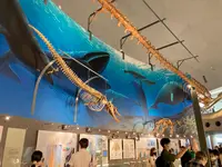 福井県立恐竜博物館の写真・動画_image_543235