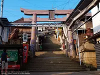 金刀比羅宮神苑の桜花の写真・動画_image_544655