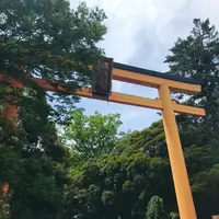 川越氷川神社の写真・動画_image_547806