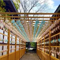 川越氷川神社の写真・動画_image_547807