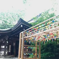 川越氷川神社の写真・動画_image_547808