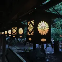 川越氷川神社の写真・動画_image_547811