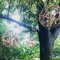 川越氷川神社の写真・動画_image_547812