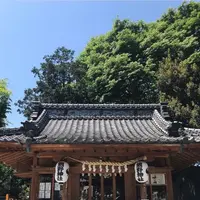川越熊野神社の写真・動画_image_547855