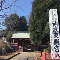 仙波東照宮の写真・動画_image_547876