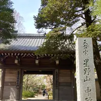 中院の写真・動画_image_547879
