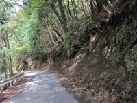 嵐山の写真・動画_image_547897