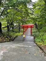 伏見稲荷神社の写真・動画_image_552343
