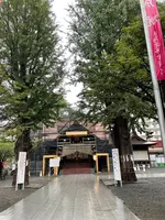 北海道神宮頓宮の写真・動画_image_552356