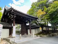 東福寺の写真・動画_image_555144