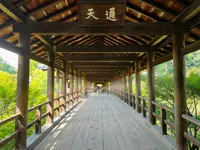 東福寺の写真・動画_image_555146