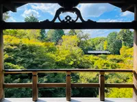 東福寺の写真・動画_image_555147
