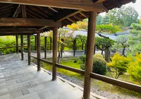 東福寺の写真・動画_image_555148