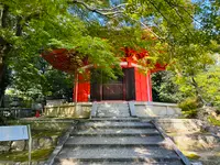 東福寺の写真・動画_image_555150