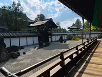 東福寺の写真・動画_image_555151