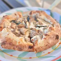 La Bottega della Pizza Napoletanaの写真・動画_image_556680