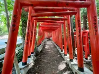 石浦神社の写真・動画_image_557398
