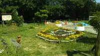 石ケ谷公園の写真・動画_image_559218