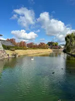 松本城の写真・動画_image_559404