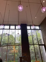 ホテル ザ セレスティン京都祇園の写真・動画_image_560389