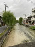祇園白川の写真・動画_image_560394