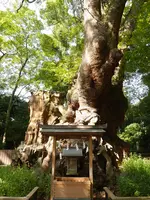 来宮神社 鳥居の写真・動画_image_561156