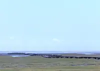 高美湿地の写真・動画_image_562395