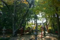 麻賀多神社奥宮の写真・動画_image_562992