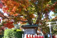 麻賀多神社奥宮の写真・動画_image_562994